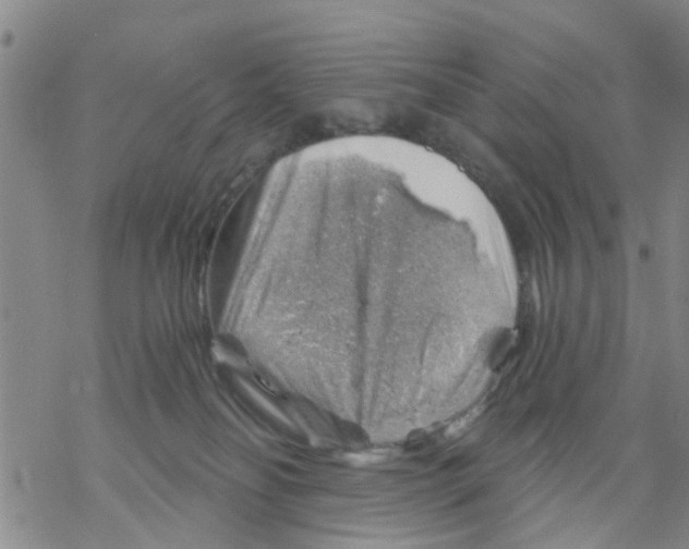 X0000068900134200605261920