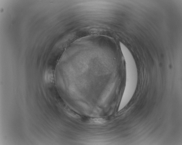 X0000068900137200605261920