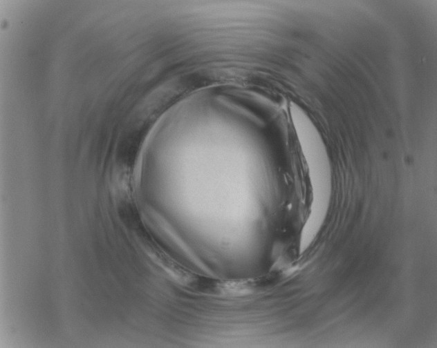 X0000068900141200605261920