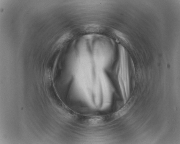 X0000068900172200605261920