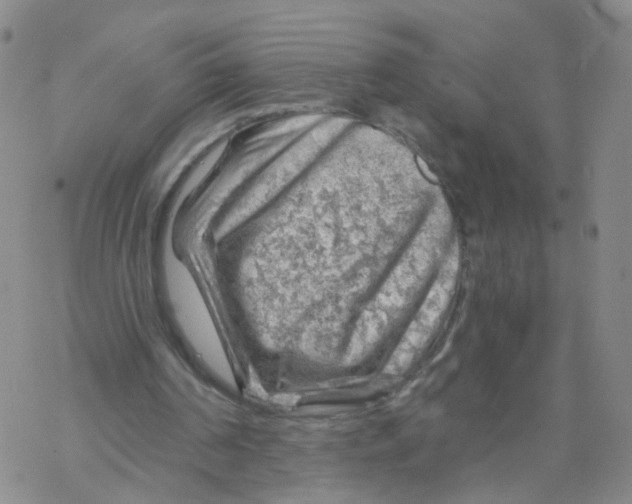 X0000068900194200605261919