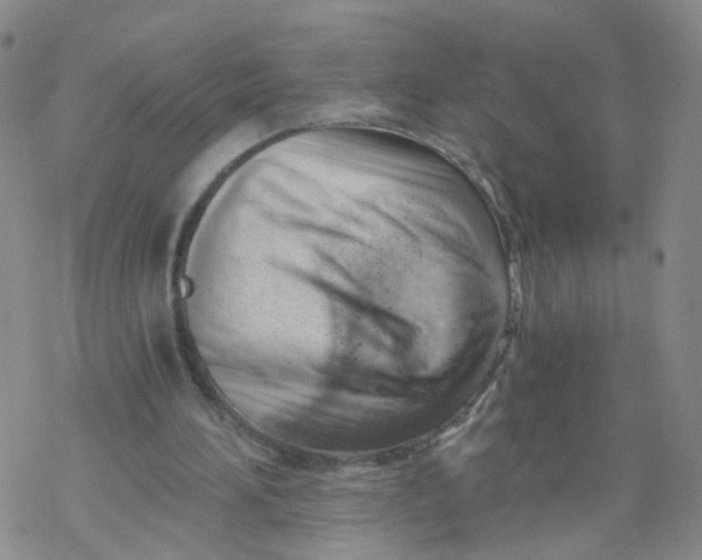 X0000068900196200605261919