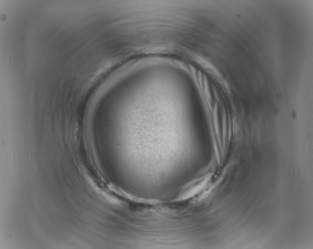 X0000068900201200605261919