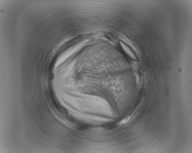 X0000068900203200605261919