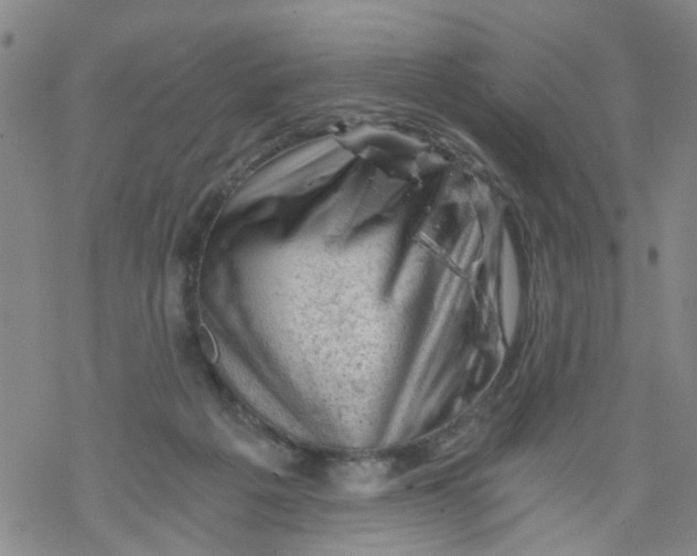 X0000068900217200605261919