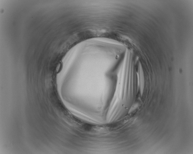 X0000068900221200605261919