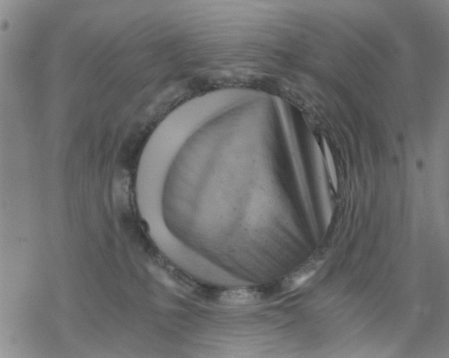 X0000068900231200605261919