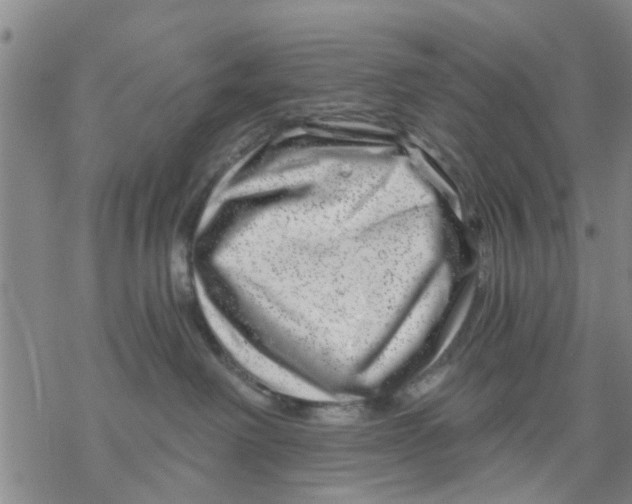 X0000068900238200605261918