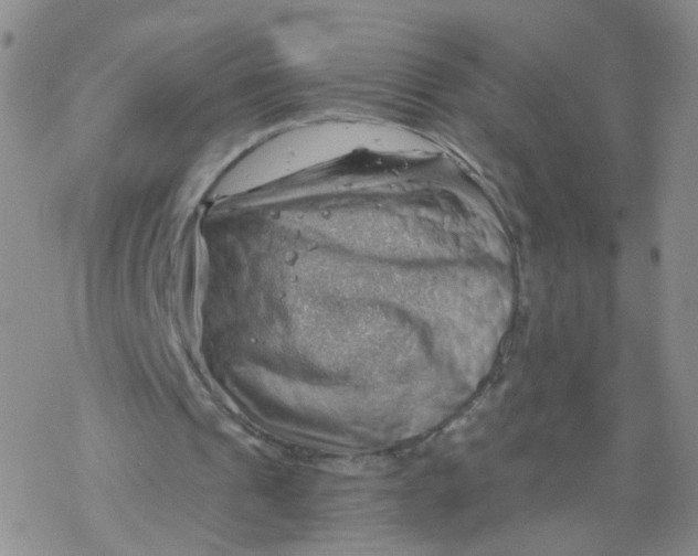 X0000068900241200605261918