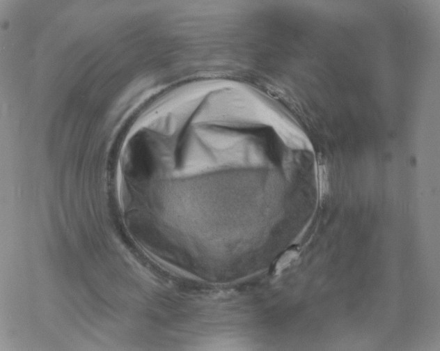X0000068900243200605261918