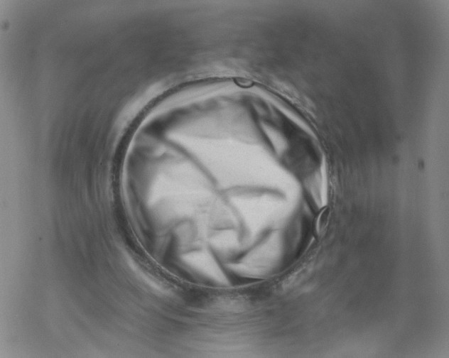 X0000068900248200605261918