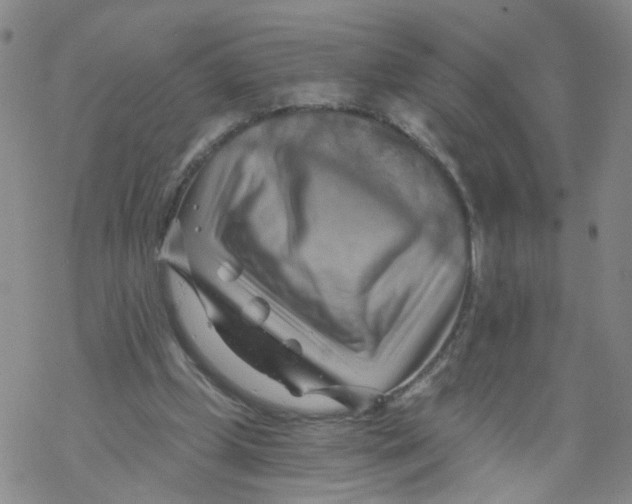X0000068900249200605261918