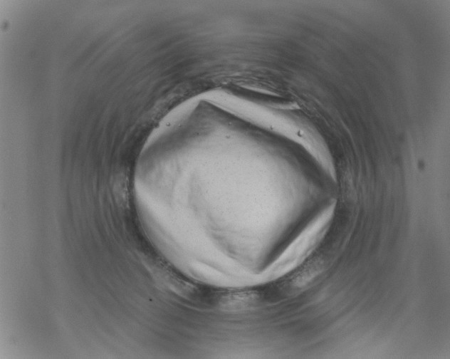 X0000068900274200605261918
