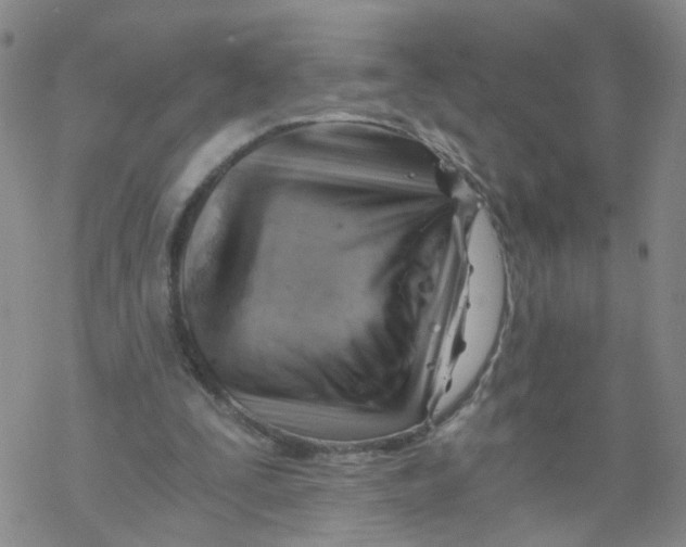 X0000068900295200605261918