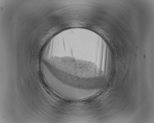 X0000068900299200605261917