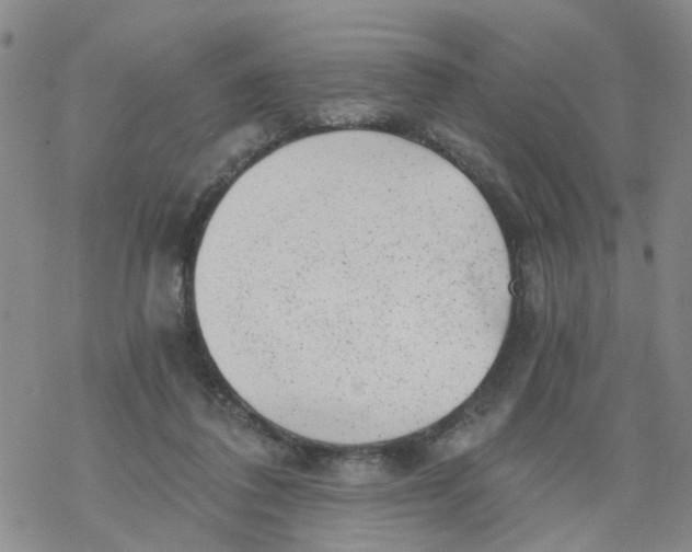 X0000068900308200605261917