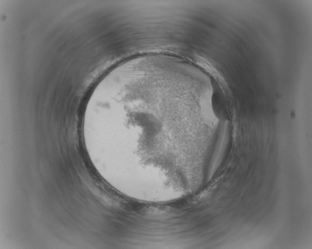 X0000068900346200605261916
