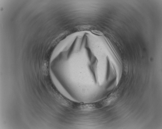 X0000068900378200605261917