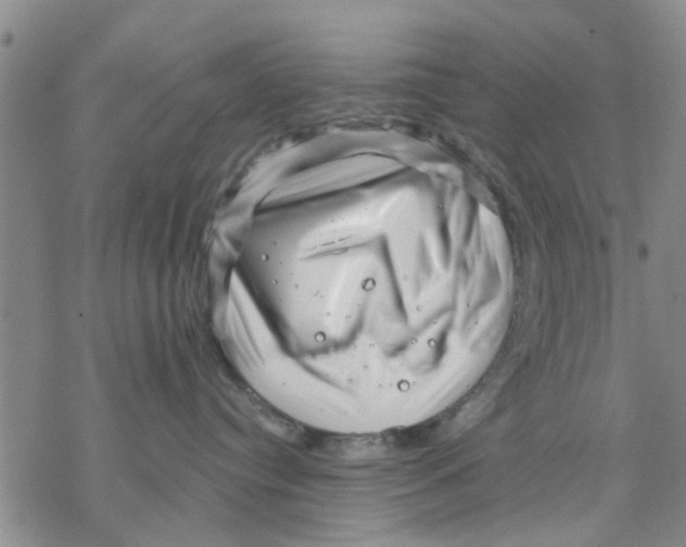 X0000068900384200605261917