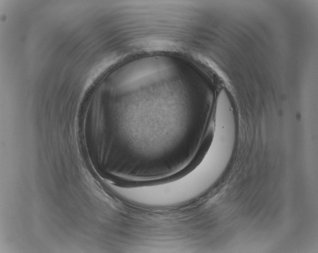 X0000068900391200605261916