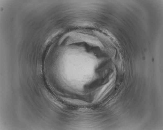 X0000068900399200605261916