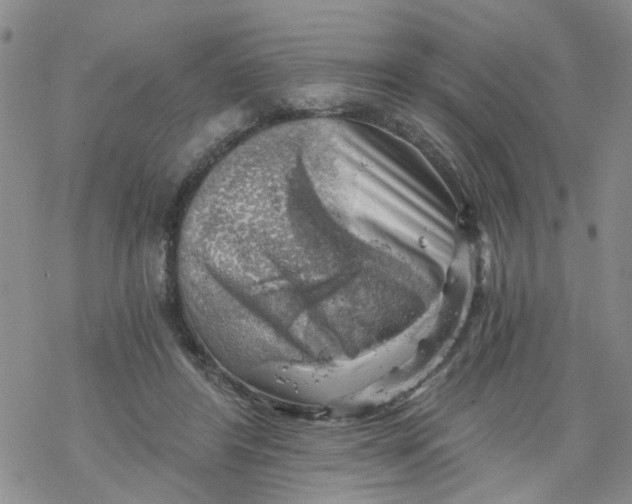 X0000068900404200605261916
