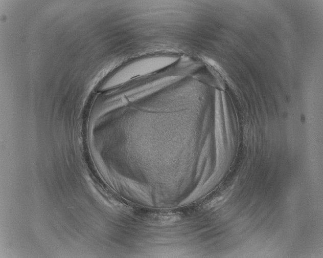 X0000068900443200605261915