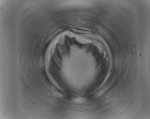 X0000068900467200605261915