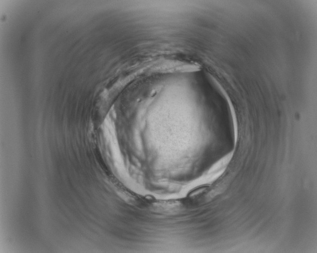 X0000068900480200605261915