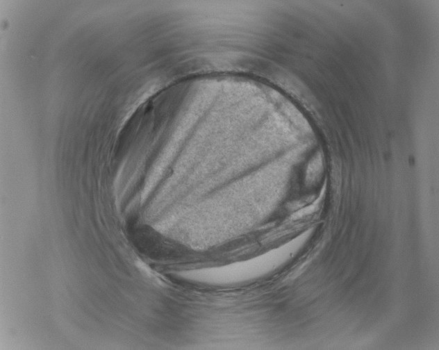 X0000068900481200605261915