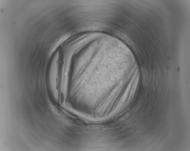 X0000068900482200605261914