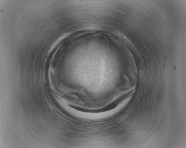 X0000068900484200605261914