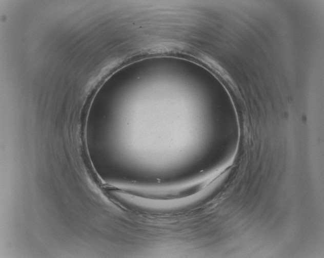 X0000068900485200605261914