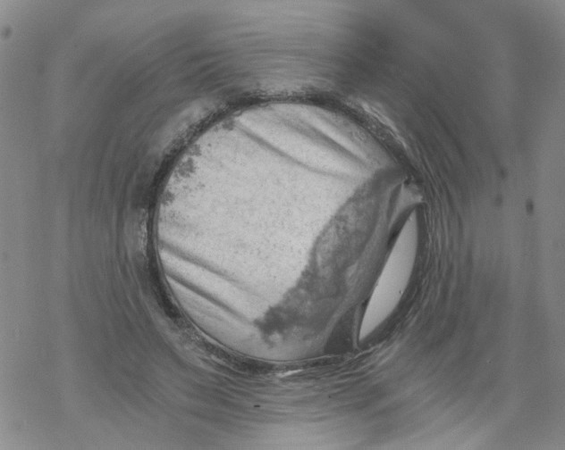 X0000068900495200605261914