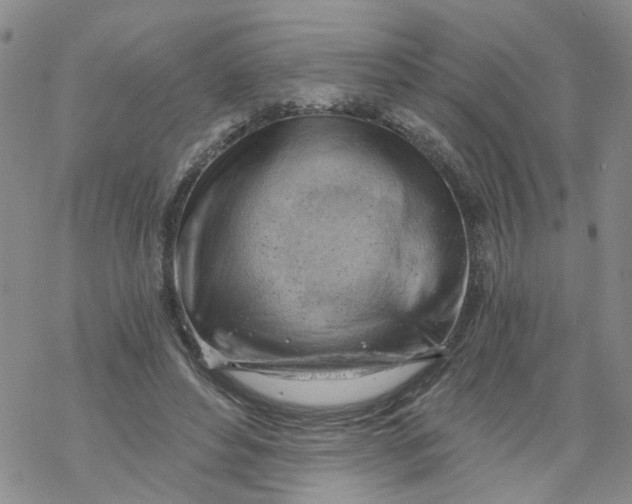 X0000068900496200605261914