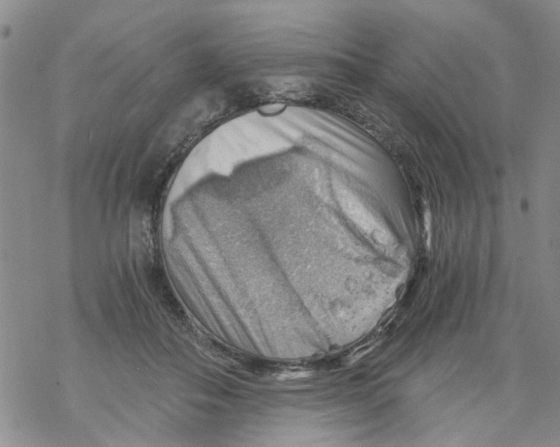 X0000068900506200605261914