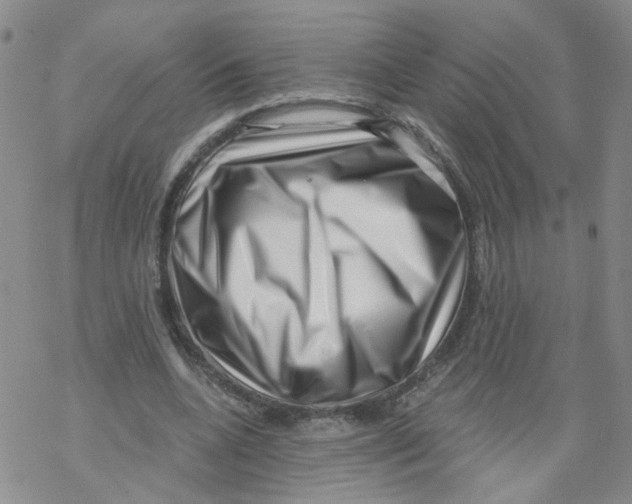 X0000068900536200605261913