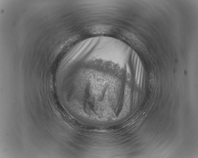 X0000068900547200605261913