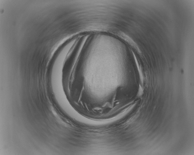 X0000068900580200605261913