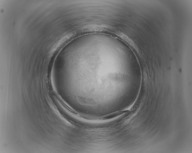 X0000068900581200605261913
