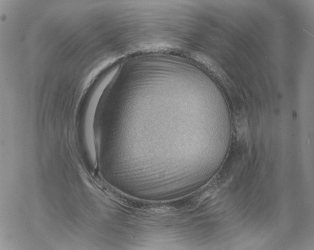 X0000068900583200605261913