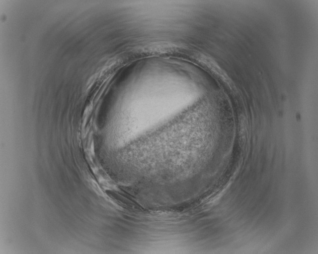 X0000068900585200605261913