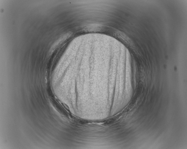 X0000068900586200605261913