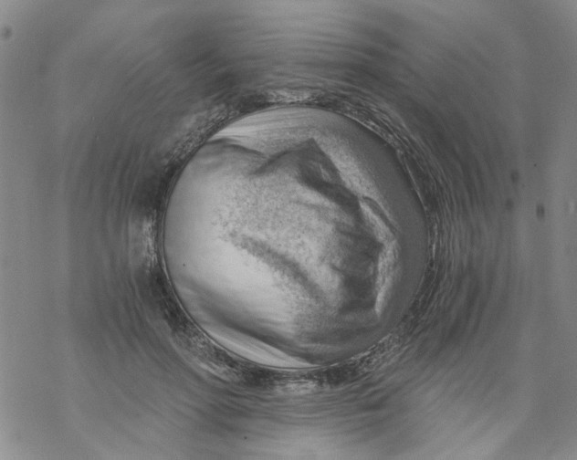 X0000068900598200605261913