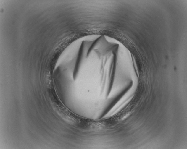 X0000068900599200605261913