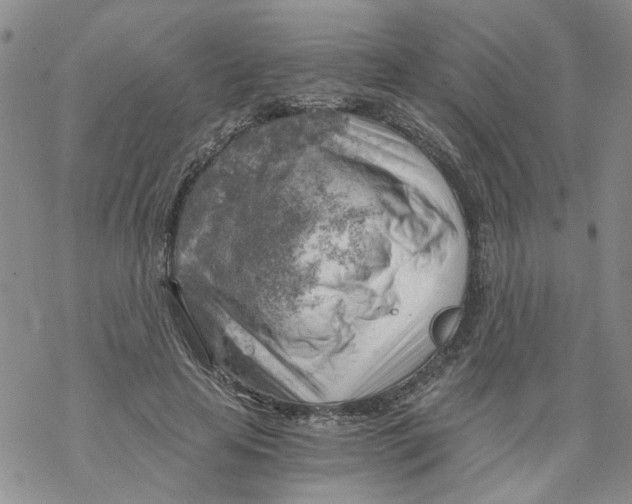 X0000068900641200605261912