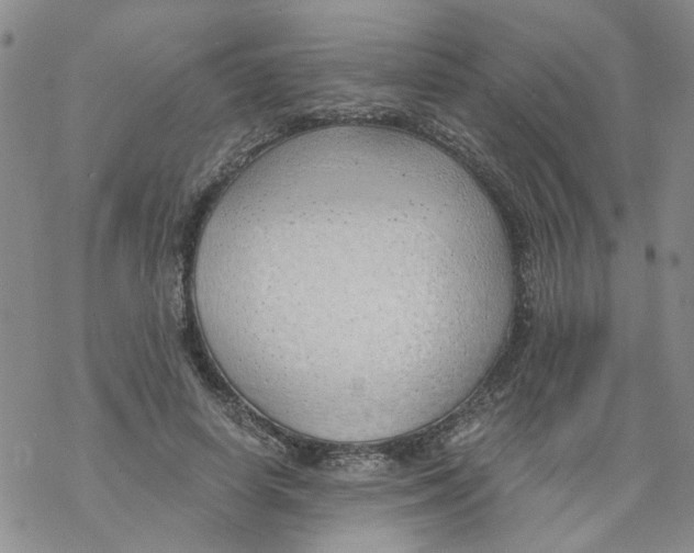 X0000068900642200605261912