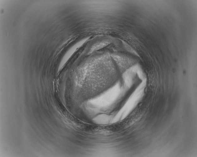 X0000068900648200605261912