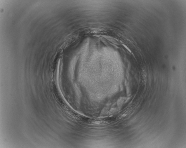X0000068900657200605261912