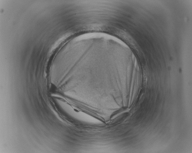 X0000068900674200605261911